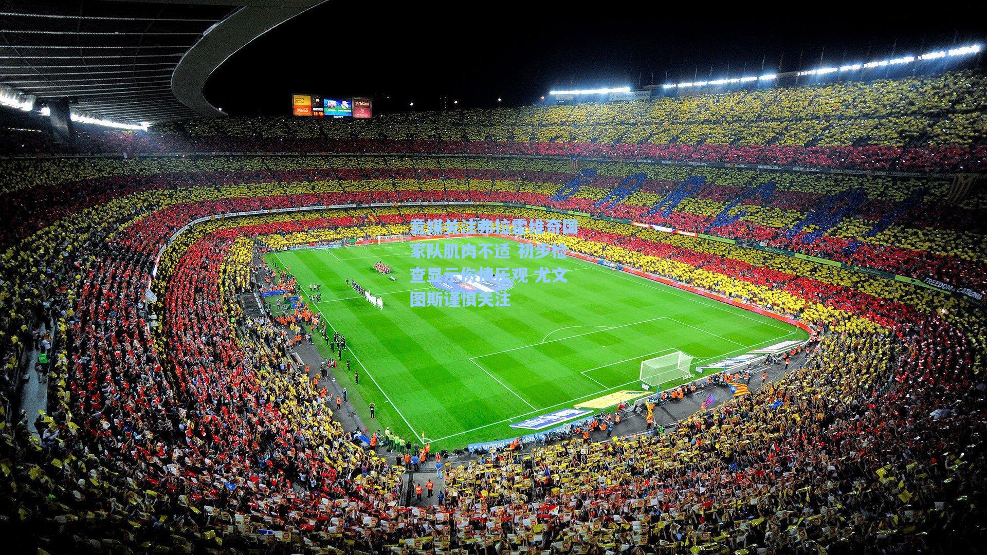 意媒关注弗拉霍维奇国家队肌肉不适 初步检查显示伤情乐观 尤文图斯谨慎关注